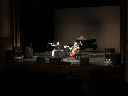 performance of "Aechome" by Clemens von Reusner (Beatrix Wagner with Madeleine Shapiro: violoncello, electonics: Clemens von Reusner)